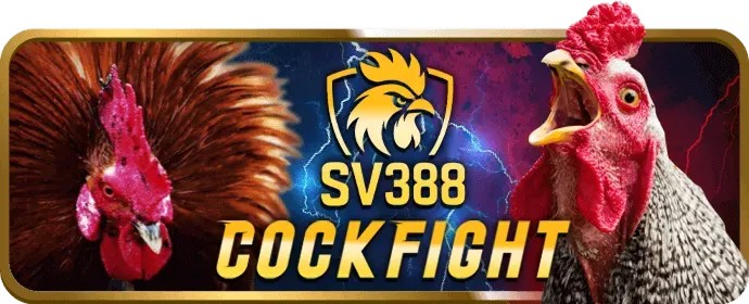 Đá gà k89bet code